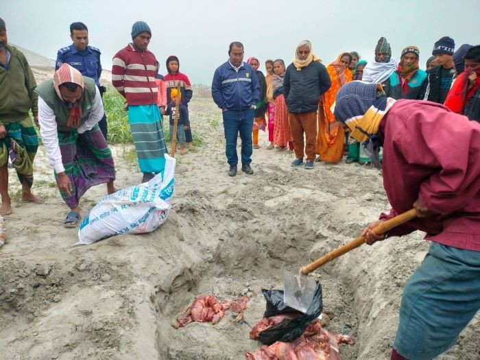 সিরাজগঞ্জে গোপনে ঘোড়া জবাই, মাংস পরিবহনকালে আটক ২