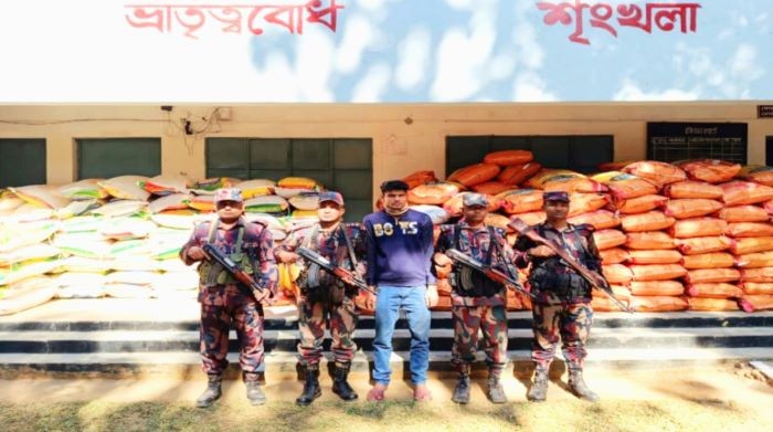 জুড়ীতে বিজিবির অভিযানে ভারতীয় ১৩৫ বস্তা জিরা উদ্ধার, জব্দ ট্রাকসহ মালামাল