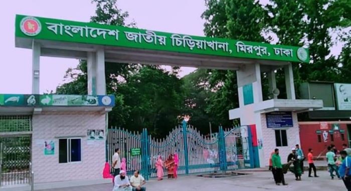 মিরপুর চিড়িয়াখানায় খাঁচার দরজা খোলা পেয়ে বেরিয়ে এলো সিংহ