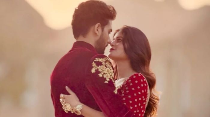দ্বিতীয়বার বিয়ের পিঁড়িতে মধুমিতা