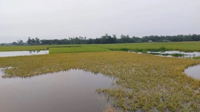 এপ্রিলে স্বাভাবিকের চেয়ে ৭৫ শতাংশ বেশি বৃষ্টি, হাওরের ৬ পয়েন্টে পানি বিপদসীমা ছাড়িয়েছে