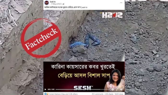 কারিনা কায়সারের কবরে সাপ? ভাইরাল ভিডিওটি নিয়ে যা জানা গেলো