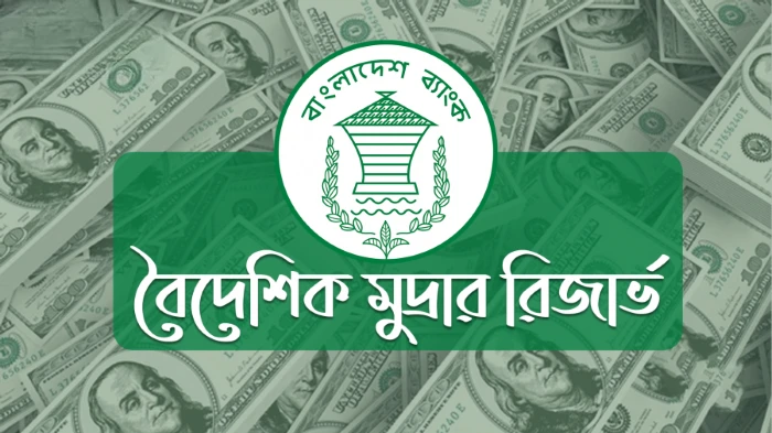 দীর্ঘ পতনের পর ঘুরে দাঁড়িয়েছে দেশের বৈদেশিক মুদ্রার রিজার্ভ